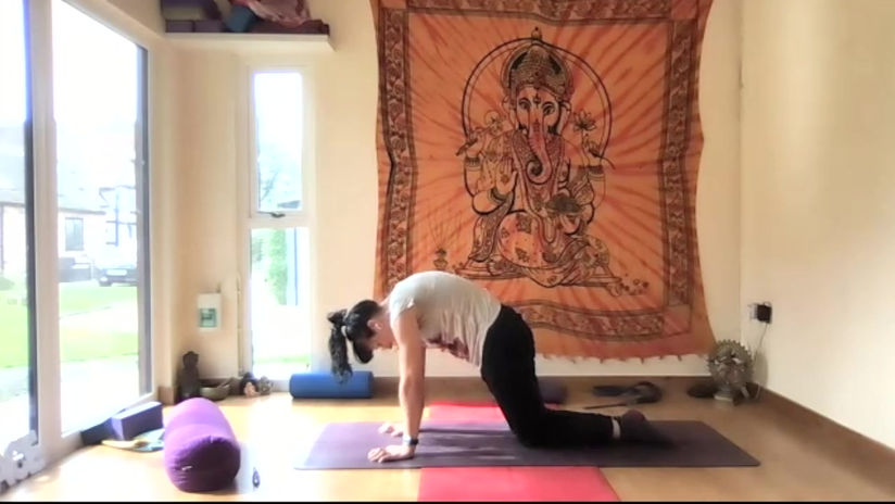Cat Wrist & Core Drill (4 mins)